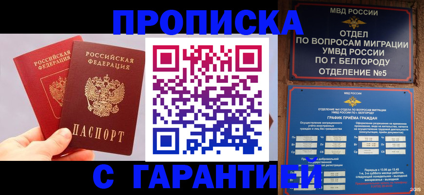 прописка 2025 в Елабуге